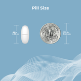 TheraCal supplements provide 3 programs, depending on your vitamin D needs: TheraCal Rapid Repletion, TheraCal D2000, and TheraCal D4000.